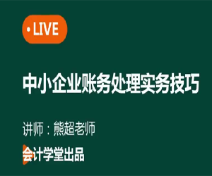 会计财务实操之中小企业账务处理实务技巧（49讲全）