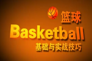 篮球基础与实战技巧14集视频+电子书教材